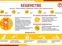 Это важно! Вакцинация питомцев для профилактики зоонозных инфекций
