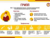 Профилактика гриппа, ОРВИ. Вакцинация
