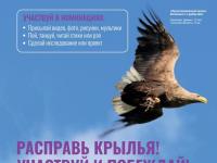 VI сезон Международной детско-юношеской премии «Экология – дело каждого»
