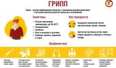 Профилактика гриппа, ОРВИ. Вакцинация