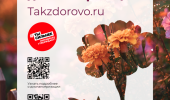 Здоровье сегодня - планы на завтра!