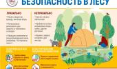 Федеральный проект «Санитарный щит – безопасность для здоровья (предупреждение, выявление, реагирование)»